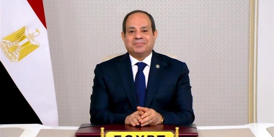 توافق مصري صومالي على تعزيز التنسيق بشأن أمن القرن الأفريقي وباب المندب