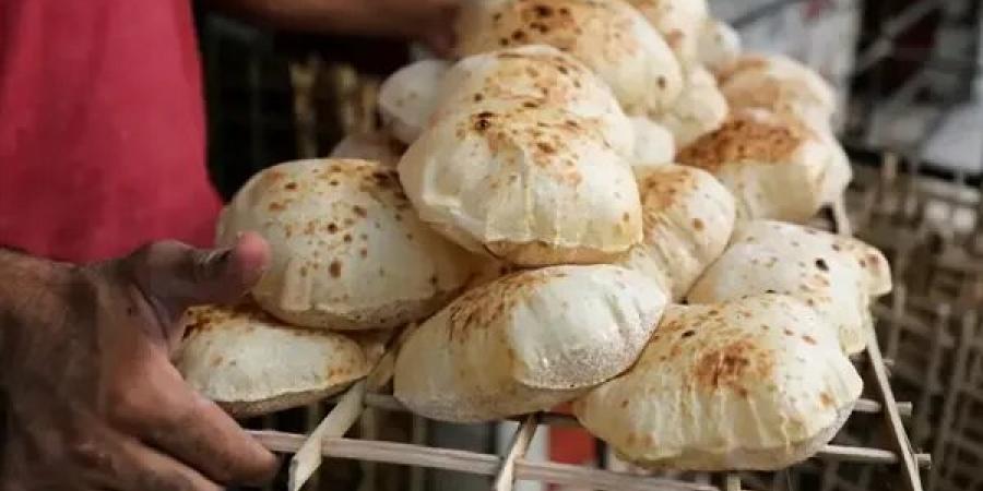 تفاصيل المنظومة التموينية بالإسكندرية، 1,200 مليون بطاقة وإنتاج 12 مليون رغيف في الصيف