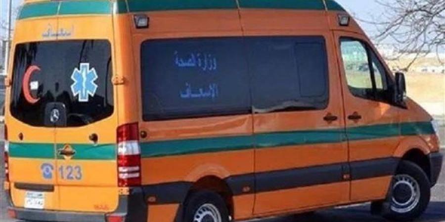 إصابة شاب بطلق خرطوش في مشاجرة بميت تمامة بالدقهلية