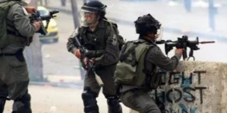 سوريا تدين استمرار قوات الاحتلال الإسرائيلي العمل في ما يُسمى خط سوفا 53