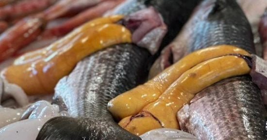 موسم الأكلات الخريفية.. الأسماك المبطرخة والزلابية أطباق دافئة على موائد الأسر فى بورسعيد.. صور