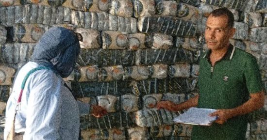 ضبط مصنع تعبئة مواد غذائية بالإسماعيلية بحوزته 5 أطنان سكر وأرز ناقصة الوزن