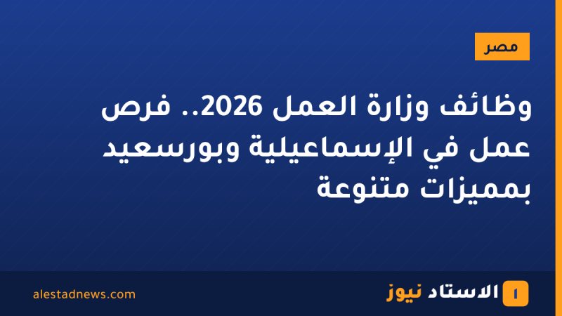 وظائف وزارة العمل 2026.. فرص عمل في الإسماعيلية وبورسعيد بمميزات متنوعة