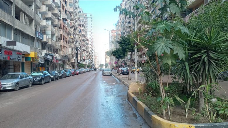 "الأرصاد" تكشف آخر تحديثات الأقمار الصناعية.. شبورة كثيفة وفرص أمطار رعدية غدًا