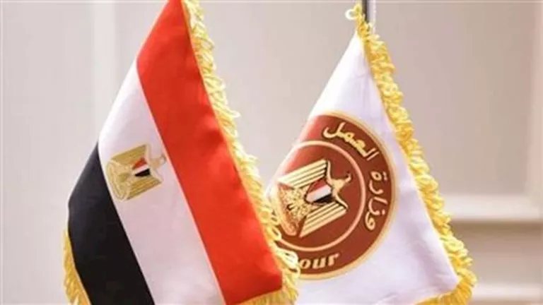2541 وظيفة بـ16 محافظة| التخصصات والتقديم