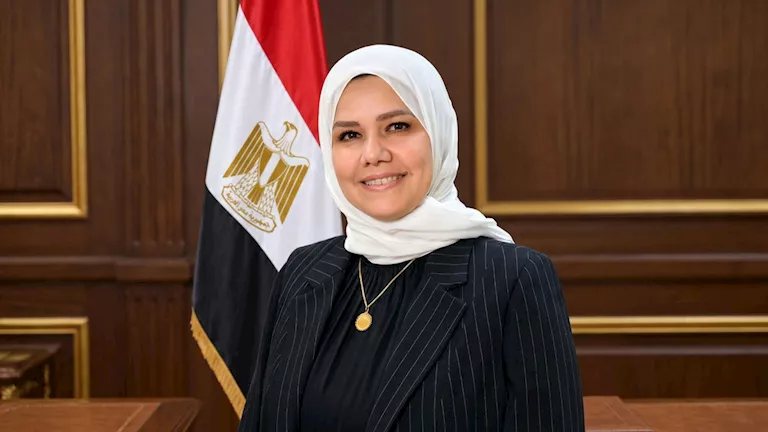 مصلحة الضرائب: تشغيل منظومة الأعمال الضريبية الرئيسية في الجيزة 2 نوفمبر المقبل