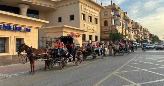 زفة وأعلام في قلب الحنطور.. طلائع مكتبة مصر العامة يحتفلون بذكرى نصر أكتوبر بالأقصر.. صور