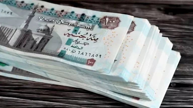 التأمينات تكشف تطور متوسط المعاشات من 1730 إلى 5265 جنيهًا