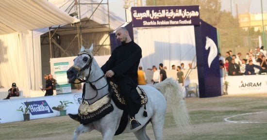 جامعة الزقازيق تشارك في الدورة الثلاثين لمهرجان الشرقية للخيول العربية الأصيلة.. صور