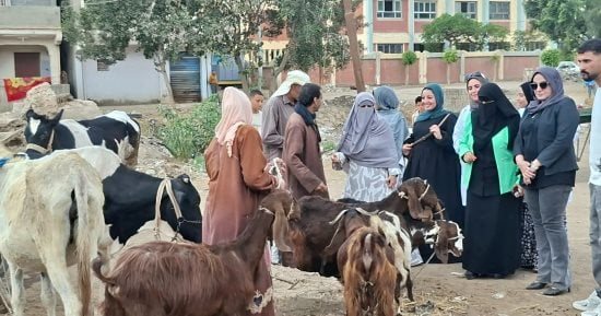 قافلة بيطرية لجامعة كفر الشيخ تقدم 360 خدمة متنوعة بقرية منشأة المصري