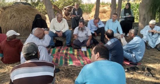 برامج لتطبيق المعاملات الزراعية المثلى لمحصول القمح بكفر الشيخ