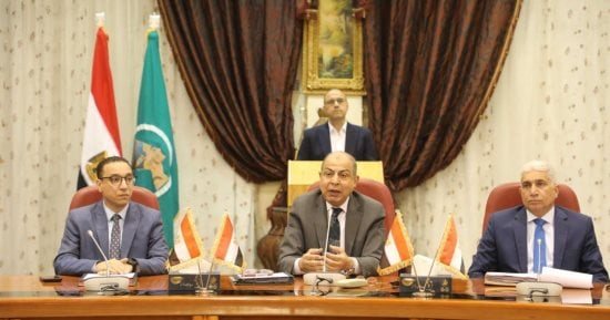 محافظ المنيا: حصر أصول الدولة وتطوير منظومة الطوارئ والتصدى لظاهرة الكلاب الضالة