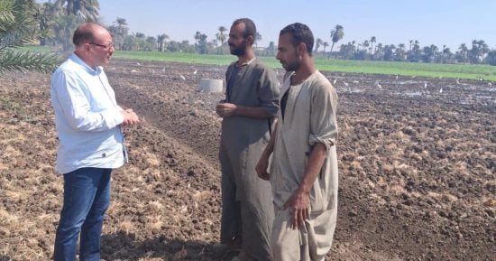 خطة "زراعة بني سويف" للموسم الشتوي.. تسجيل 285 ألف استمارة بكارت الفلاح